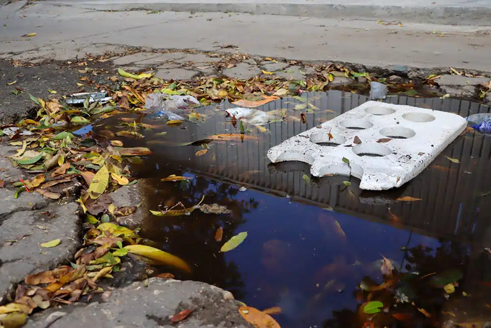 Personería de Santa Marta reclama al Ministerio de Salud vacunación urgente contra el dengue ante aumento alarmante de casos