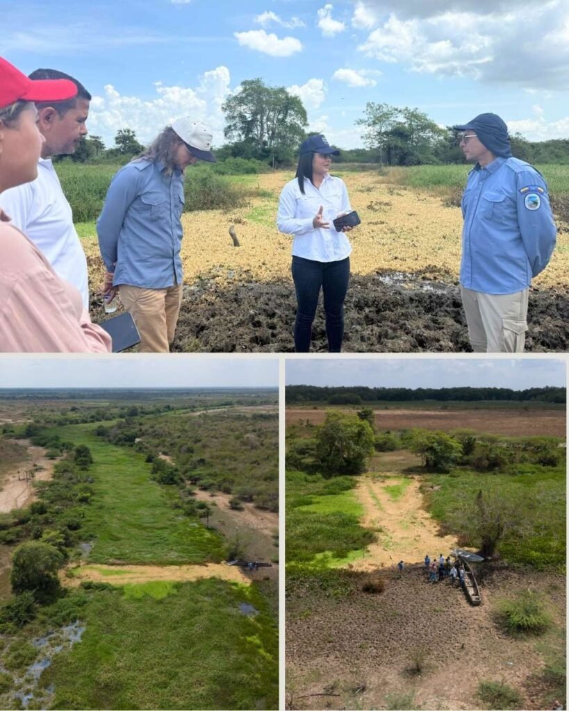 Corpamag lidera recorrido técnico en los caños Renegado y Condazo para impulsar la recuperación hidráulica de la Ciénaga Grande