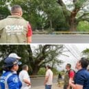 DADSA y autoridades lideran cierre vial por emergencia de árbol en riesgo en la Troncal del Caribe