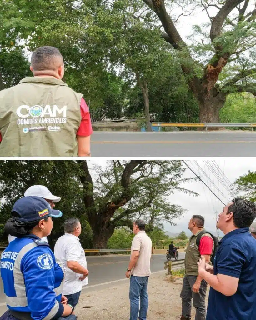 DADSA y autoridades lideran cierre vial por emergencia de árbol en riesgo en la Troncal del Caribe