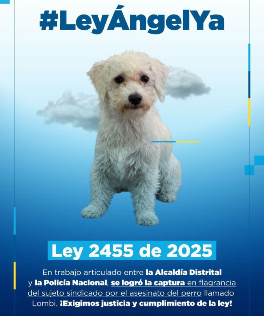 Articulación entre Alcaldía y Policía permite captura en flagrancia de la persona señalada de dar muerte a un animal en Villas de Alejandría