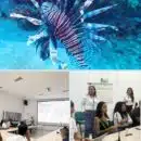 Corpamag y la Fundación CIM Caribe impulsan soluciones sostenibles frente a la amenaza del Pez León