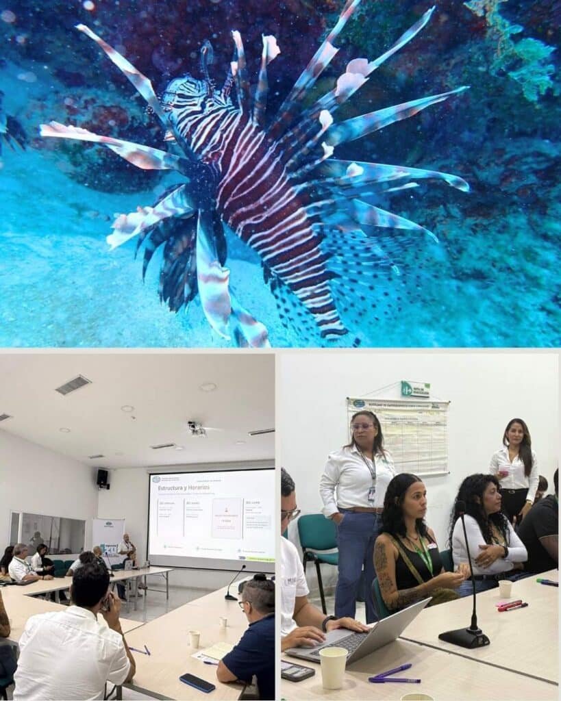 Corpamag y la Fundación CIM Caribe impulsan soluciones sostenibles frente a la amenaza del Pez León