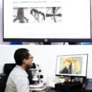 UNIMAGDALENA, primera institución colombiana en integrar la red digital mundial - AntWeb