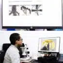 UNIMAGDALENA, primera institución colombiana en integrar la red digital mundial - AntWeb