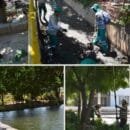 Alcaldía de Santa Marta lideró jornadas de limpieza y recuperación ambiental en el río Gaira y El Pando
