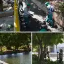 Alcaldía de Santa Marta lideró jornadas de limpieza y recuperación ambiental en el río Gaira y El Pando