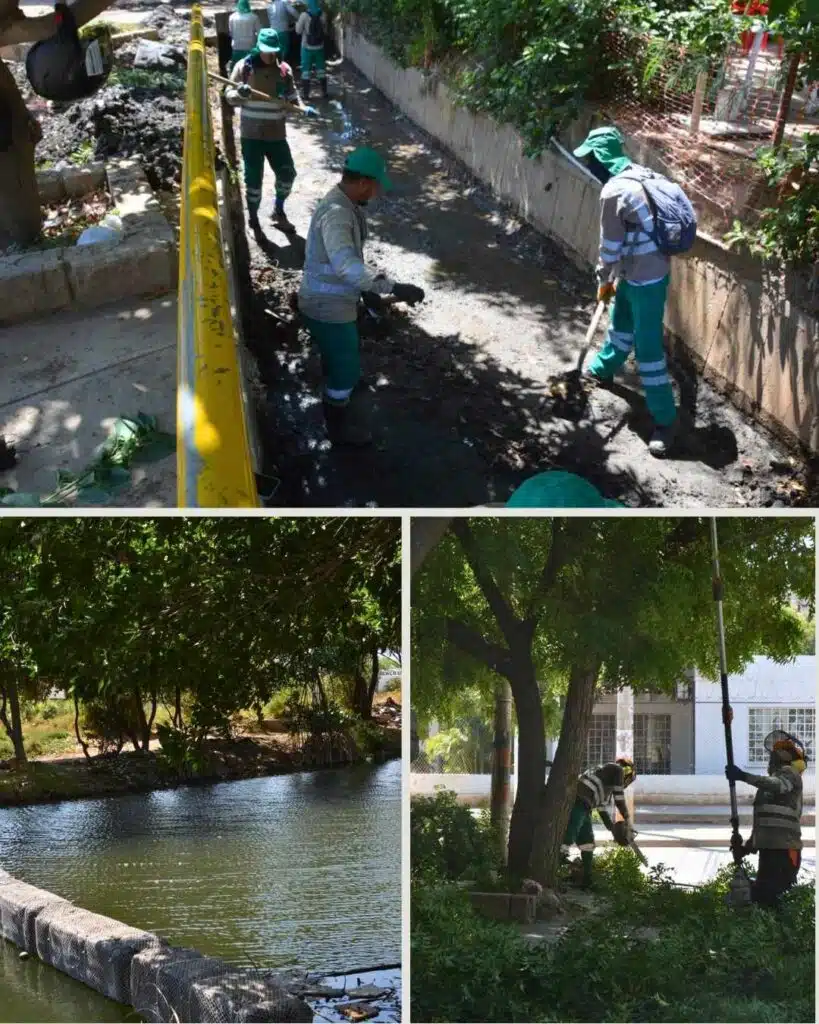 Alcaldía de Santa Marta lideró jornadas de limpieza y recuperación ambiental en el río Gaira y El Pando