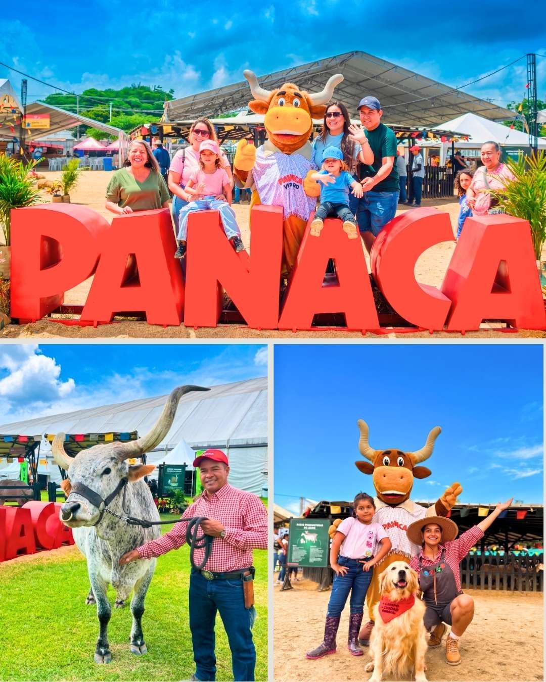PANACA viajero regresa a Santa Marta en su segunda versión 2026