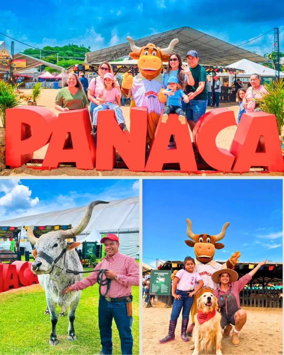 PANACA viajero regresa a Santa Marta en su segunda versión 2026