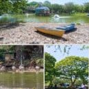 UNIMAGDALENA iniciará adecuación y mantenimiento ecológico de su lago artificial