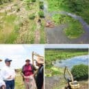 CORPAMAG continúa las acciones para la recuperación de la Ciénaga Grande con el mantenimiento del Caño Condazo