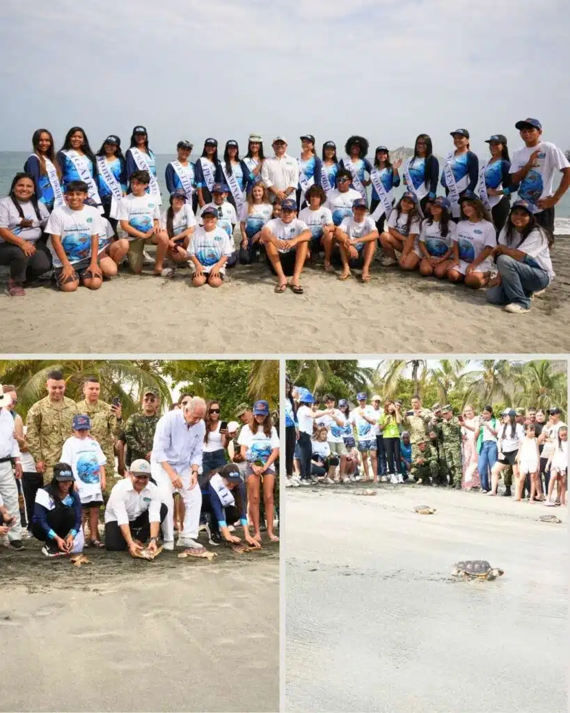 Corpamag, Fundación Museo del Mar y Ejército Nacional liberan 25 tortugas marinas junto a las Candidatas a Capitana Distrital del Mar 2026