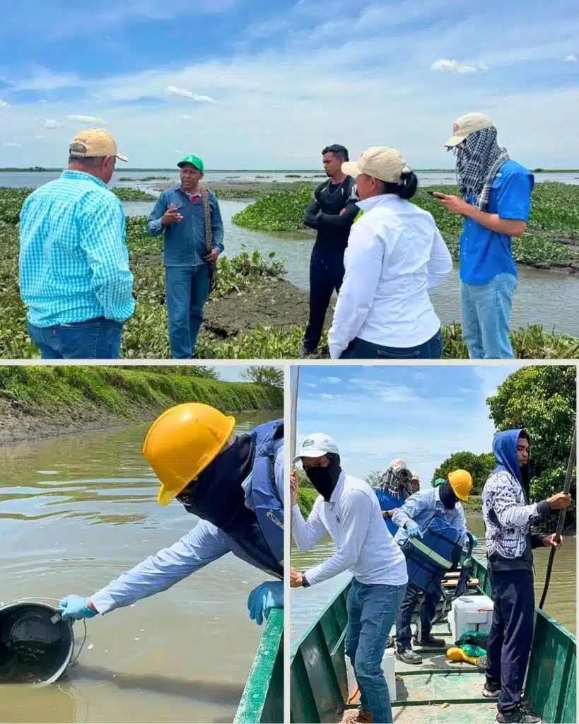 Corpamag investiga mortandad de peces en el caño peñoncito, municipio de San Zenón