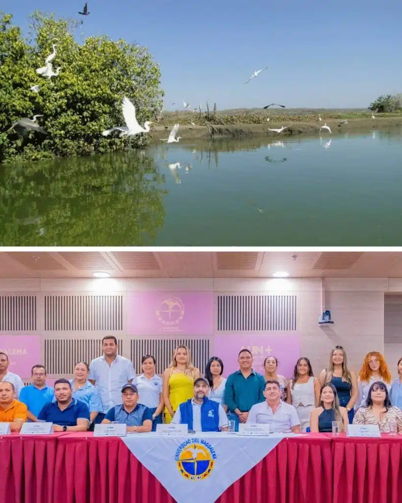 UNIMAGDALENA lidera proyecto para la conservación y recuperación de la Ciénaga de Zapayán