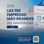 íanalisis las 100 empresas más grandes 2025 - 1