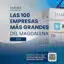 íanalisis las 100 empresas más grandes 2025 - 1