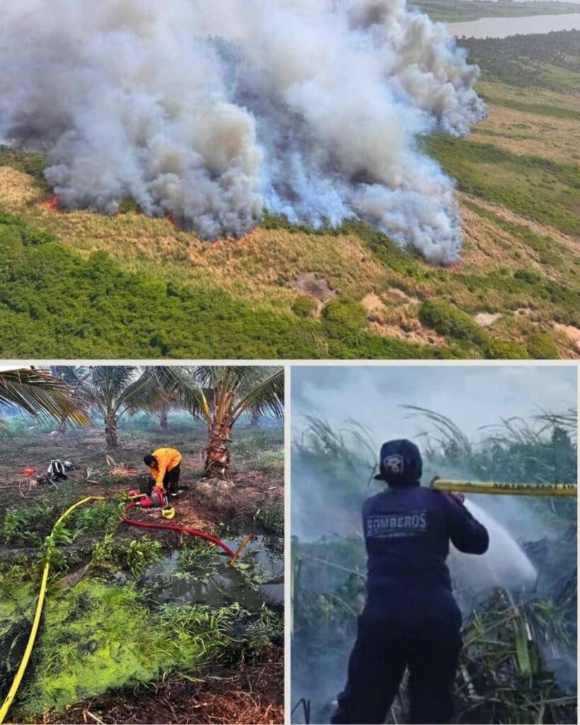 Corpamag y bomberos refuerzan acciones para prevenir y atender incendios en la Ciénaga Grande y en el Vía Parque Isla de Salamanca