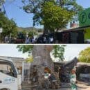Alcaldía interviene el árbol de Bonga en el barrio 20 de Julio