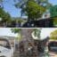 Alcaldía interviene el árbol de Bonga en el barrio 20 de Julio
