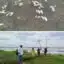 CORPAMAG realiza inspección ante nuevo reporte de mortandad de peces en la ciénaga de Tesca, Guamal