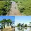 Corpamag avanza en la recuperación del cauce del Río Sevilla y su conexión con la Ciénaga Grande de Santa Marta