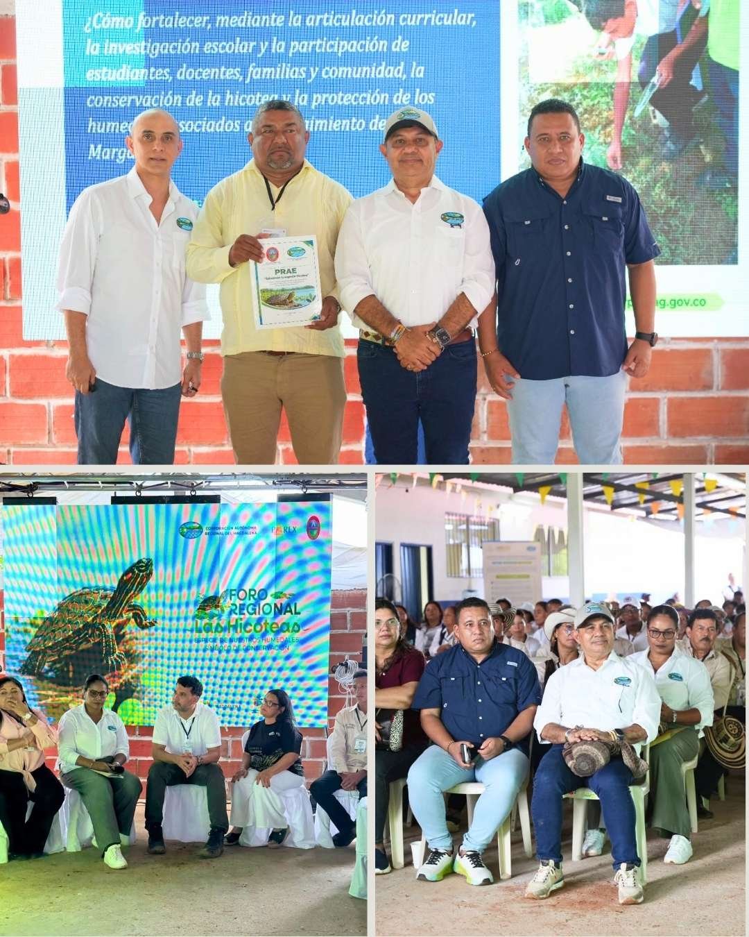Corpamag impulsa la conservación de la hicotea y fortalece la educación ambiental en Magdalena